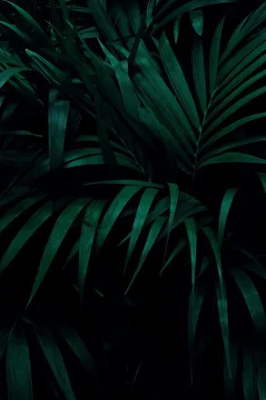 OnlyFans cuenta xlilly3 header 2