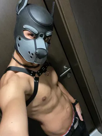 OnlyFans cuenta pup_barrow avatar 1