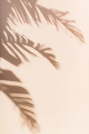 OnlyFans cuenta grayspotho header 2