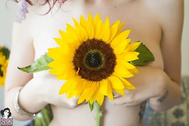 OnlyFans cuenta sunflower.xx header 2