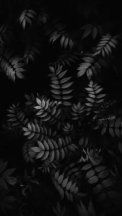 OnlyFans cuenta prodbysuede header 2