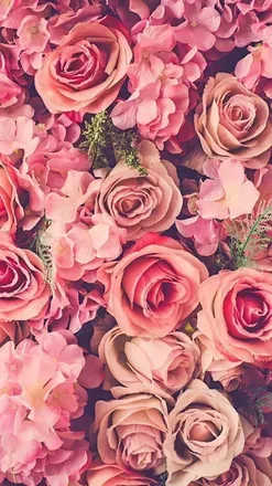 OnlyFans cuenta ameliaroseonly header 2