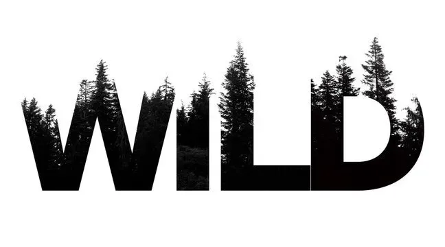 OnlyFans cuenta youmakeme_wildd header 2