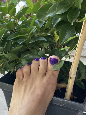 OnlyFans cuenta sexyfeet105 header 2