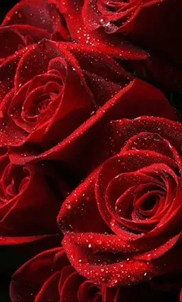 OnlyFans cuenta prettyred5150 header 2
