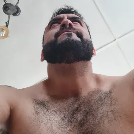 OnlyFans cuenta osopas36 avatar 1
