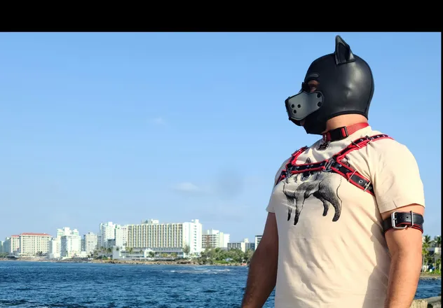 OnlyFans account  lycan_papi header 2