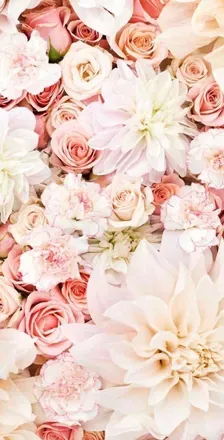 OnlyFans cuenta caarinnaa header 2