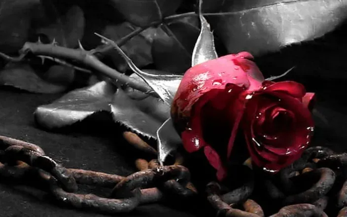 OnlyFans cuenta u91441897 header 2
