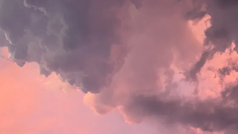 OnlyFans cuenta floraauriolus header 2