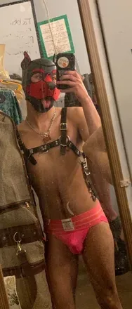 OnlyFans cuenta puppawpers avatar 1