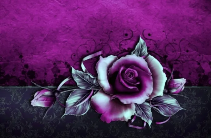 OnlyFans cuenta summer-rose2uxoxo header 2