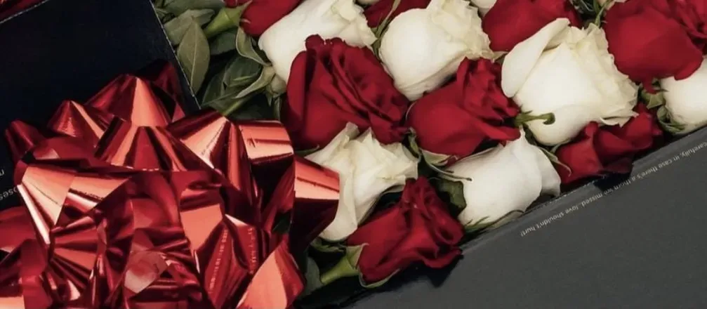 OnlyFans cuenta u103502034 header 2