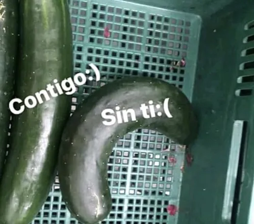 OnlyFans cuenta u59119603 header 2