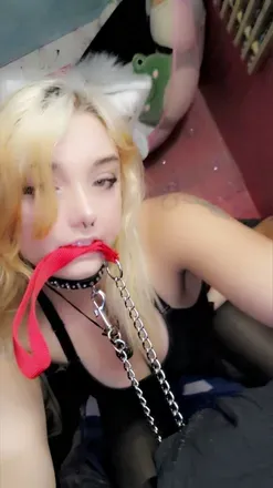 OnlyFans cuenta kalmthewolf avatar 1