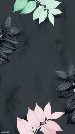 OnlyFans cuenta u213203179 header 2