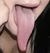 OnlyFans cuenta reptil avatar 1