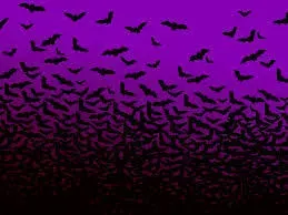 OnlyFans cuenta draculinalatina header 2