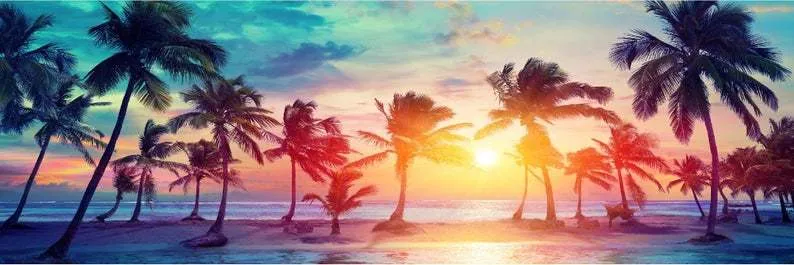 OnlyFans cuenta prettytae69 header 2