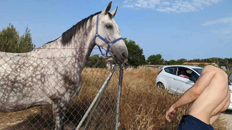 OnlyFans cuenta farmboyyyy header 2