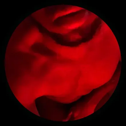 OnlyFans cuenta theb00tybandit avatar 1
