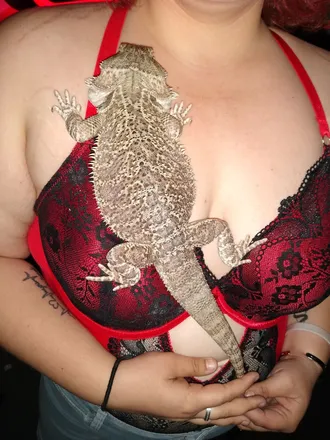 OnlyFans cuenta bigtittybaddie420 header 2