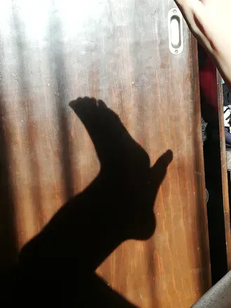 OnlyFans cuenta girlmonniefeet avatar 1