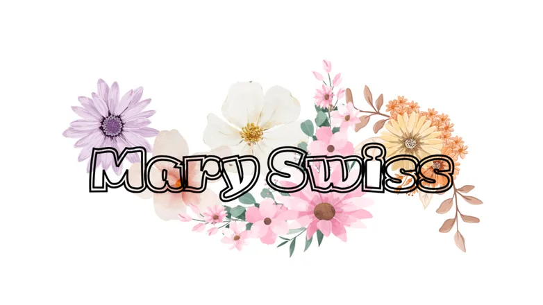 OnlyFans cuenta marryswiss header 2