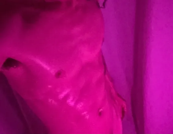OnlyFans cuenta dameoneros header 2