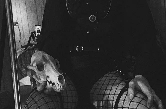 OnlyFans account  twinkbug69 header 2
