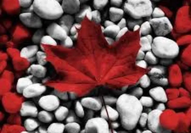 OnlyFans cuenta smalltownhotwife header 2