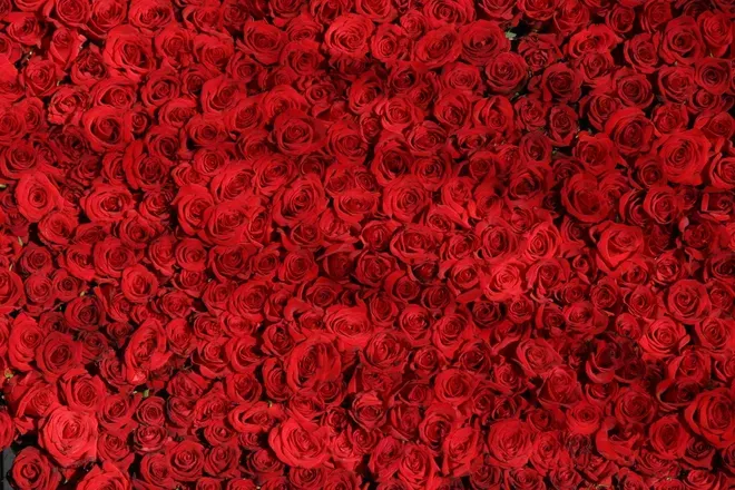 OnlyFans account  winnierose header 2