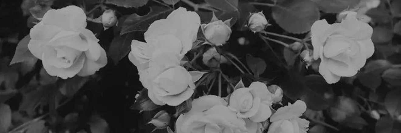 OnlyFans cuenta elsa_cripsi header 2