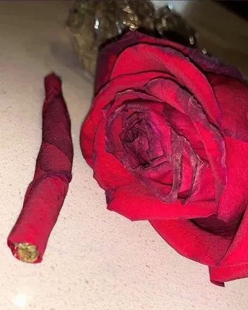 OnlyFans cuenta mwuaxxz header 2