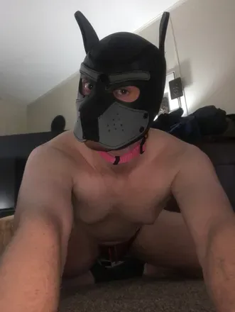 OnlyFans account  officalpup header 2