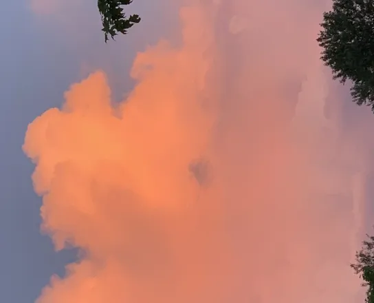 OnlyFans account  nauticabluuu header 2