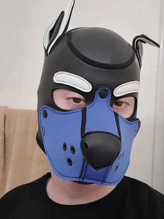 OnlyFans cuenta torvindragonpup avatar 1