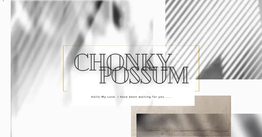 OnlyFans cuenta chonkypossum header 2