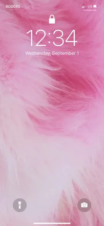 OnlyFans cuenta madmunchkin_xoxo header 2