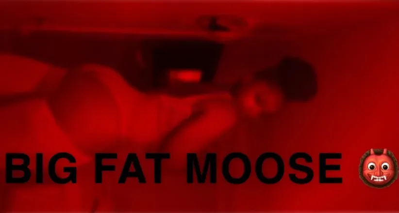 OnlyFans account  bigfatmoose header 2