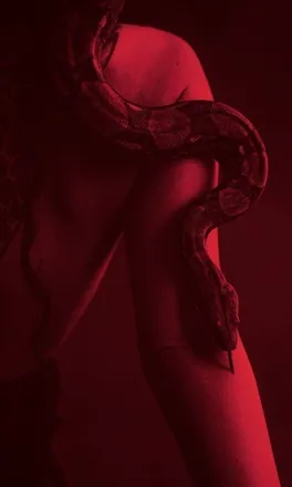 OnlyFans cuenta luckydesires header 2