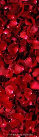 OnlyFans cuenta freeprincesscut header 2
