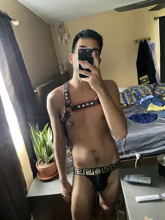 OnlyFans cuenta versversace69 avatar 1