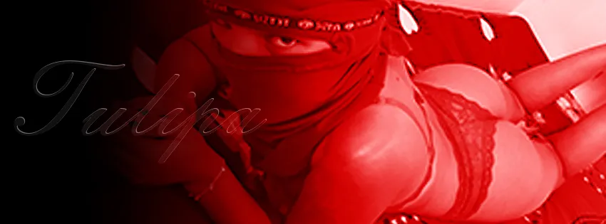 OnlyFans account  tulipacasada header 2