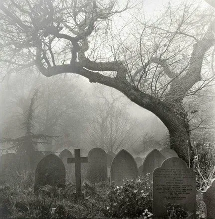 OnlyFans cuenta bonebank header 2