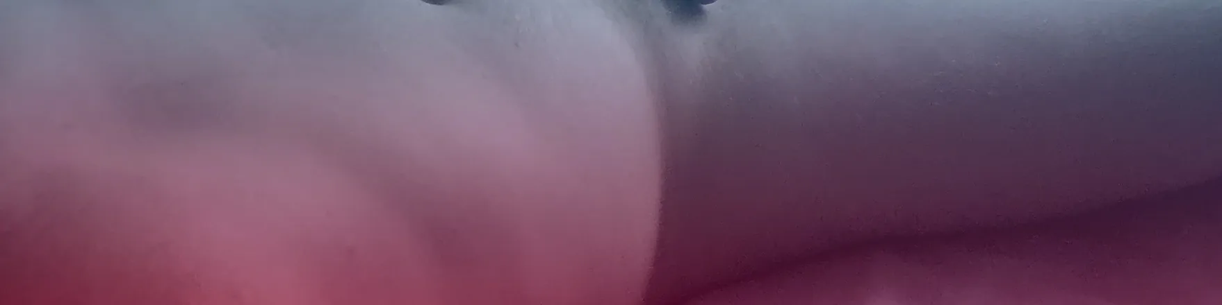OnlyFans cuenta u35577131 header 2