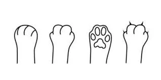 OnlyFans cuenta kittypawcentral header 2