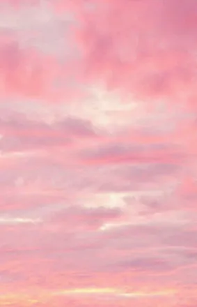 OnlyFans cuenta pussycatpack header 2