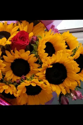 OnlyFans cuenta brisa_0192 header 2