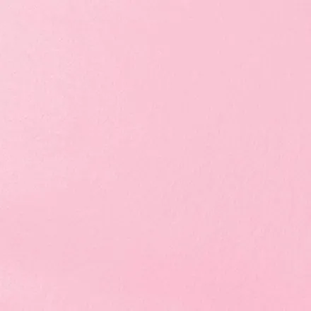 OnlyFans cuenta pusscfairytv header 2